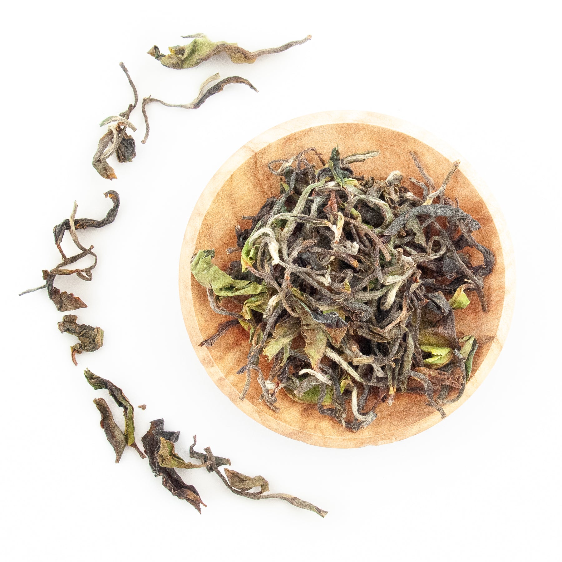 2024 Hand Rolled Spring Beauty – First Flush Darjeeling