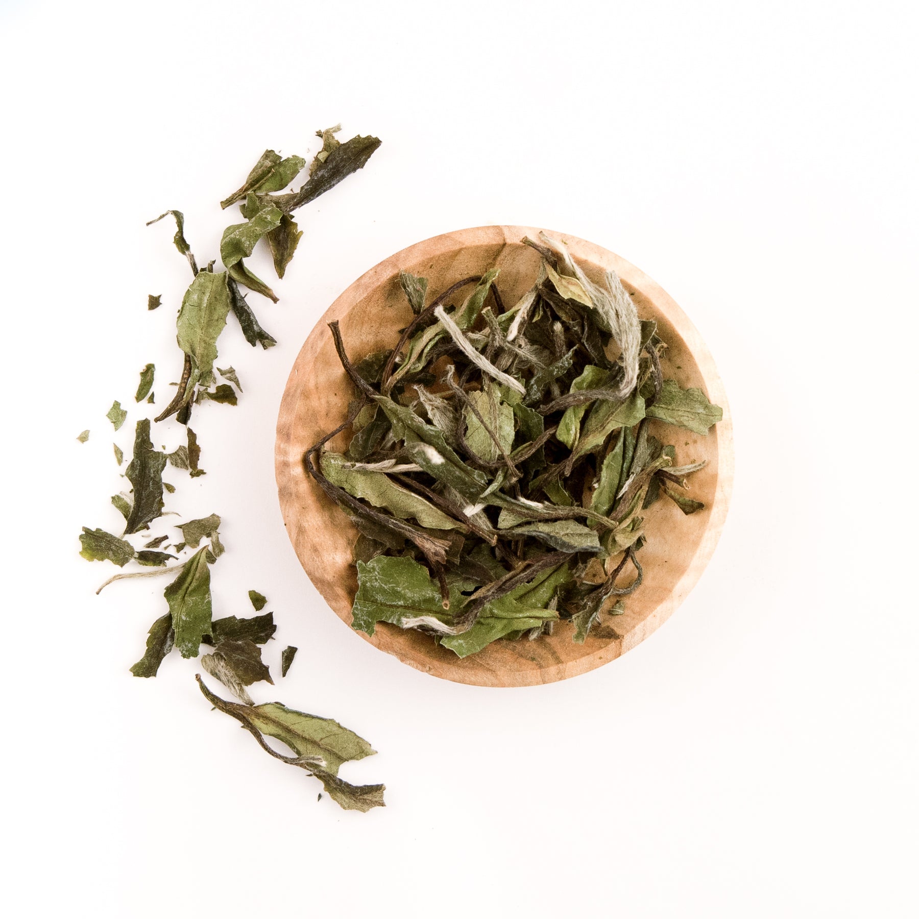 White Peony "Bai Mu Dan"